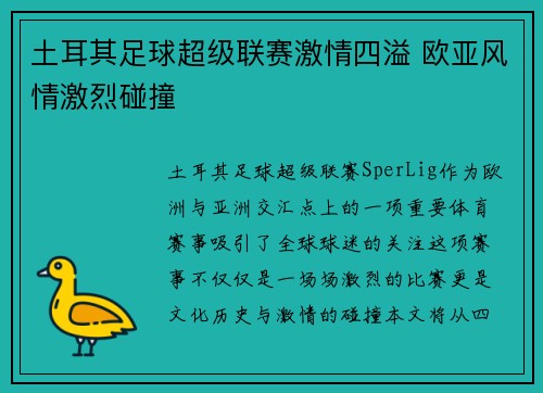 土耳其足球超级联赛激情四溢 欧亚风情激烈碰撞
